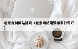 桦甸北京自制网站建设（北京网站建设哪家公司好）